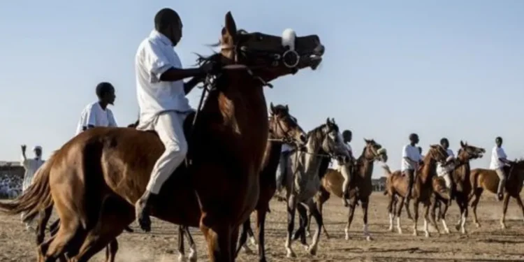 Le Sport au Tchad en 2025 : Une Nouvelle Ère de Développement et de Passion
